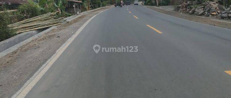 TANAH MURAH KALIBAGOR PURWOKERTO  1