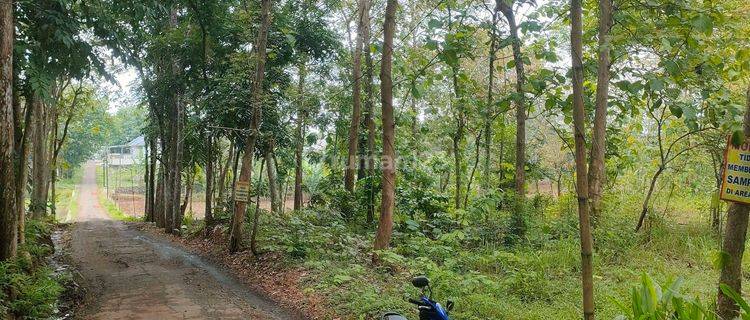 TANAH MURAH KALIBAGOR COCOK UNTUK CLUSTER  1