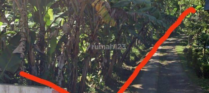 Di Jual Cepat Tanah Murah Di Cianjur Cocok Untuk Perumahan, Villa Atau Perkebunan 1