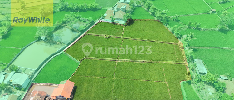 Tanah produktif di Majalaya, cocok untuk villa  1