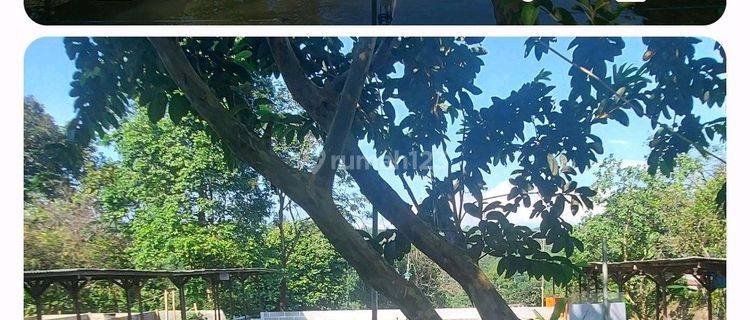 Disewakan Tanah Kebun Dengan Pemandangan.yg Indah Dan Mountain View Berikut 6 Kolam.ikan Durian, Petai Berikut Kolam Pancing Dan Kolam.ikan 1