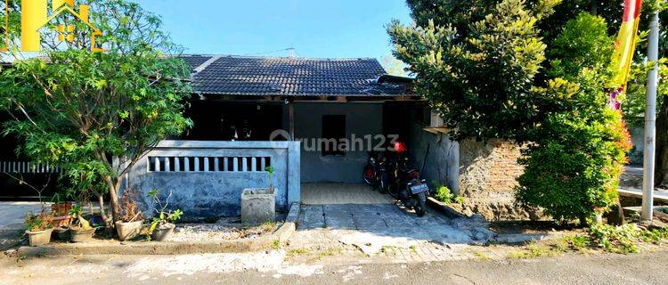 Rumah Bagus Di Jl. Tugurejo Timur SHM - Sertifikat Hak Milik 1