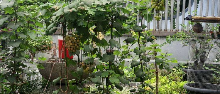 Hunian nyaman dan asri di Gunung batu pasteur 1