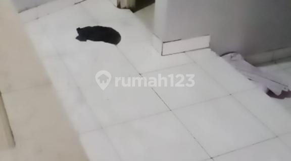 For Sale 3-Story Shop House in Amirmahmud Cimindi 1