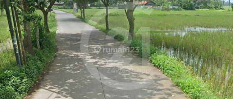 Dijual Tanah zona Perumahan Kemiri Tangerang 1