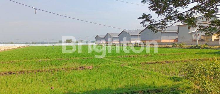 TANAH SAWAH DI JALAN RAYA GENENG NGAWI, COCOK BUAT GUDANG / PABRIK 1