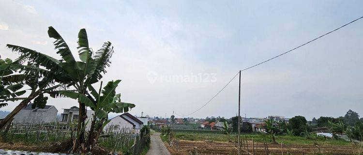 Tanah Matang Cihanjuang Parongpong Bandung Barat 1