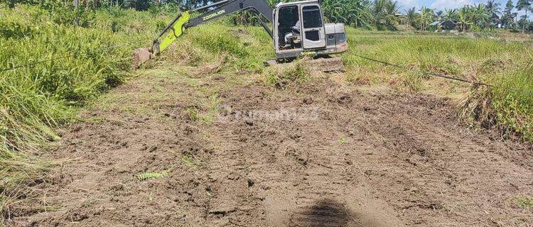 Dikontrakkan Jangka Panjang Tanah Start 2 Are Di Pejeng Kaja Db 1