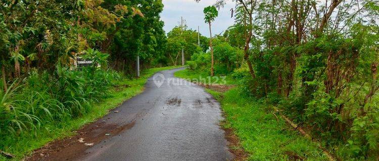 39 are Tanah Jalan Aspal Desa Subur Kubutambahan Buleleng  1