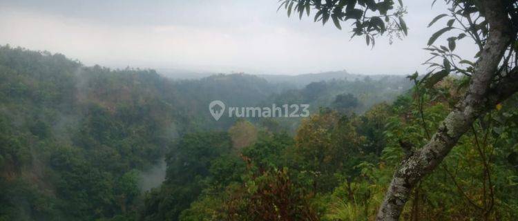 TANAH VIEW AIR TERJUN KUBUTAMBAHAN.TAJUN.ISTIMEWA 1