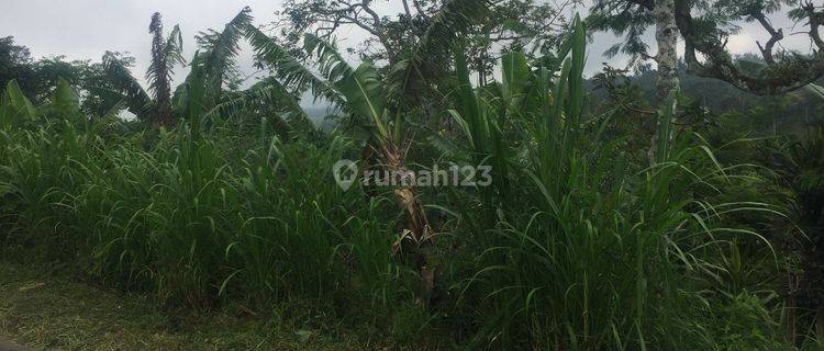 TANAH MURAH PINGGIR JALAN ASPAL WANAGIRI 1