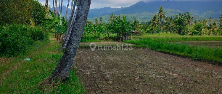 FLAT LAND VIEW FIELD VIEW  1