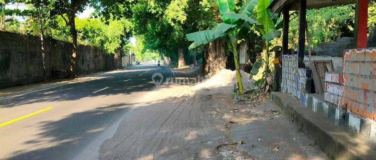 LAND WITH GOOD PROSPECTS MAIN ROAD AIRSANIH  1