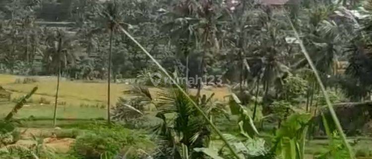 1,14 Hektar View Gunung.sawah Dan Laut Kubutabahan 1