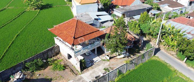 Rumah 5 Are Butuh Renovasi SHM di Penarukan, Buleleng 1