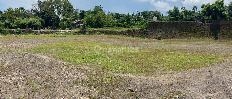 Tanah Datar 18 Are Siap Bangun Akses Mobil Bungkulan Buleleng 1