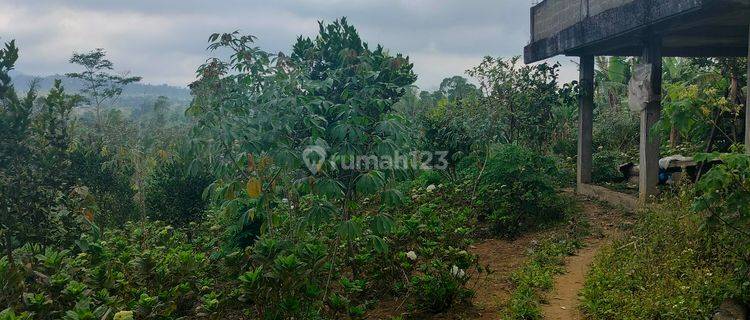 9 Hektar Tanah Istimewa Datar View Perbukitan Wisata Gobleg Wanagiri 1