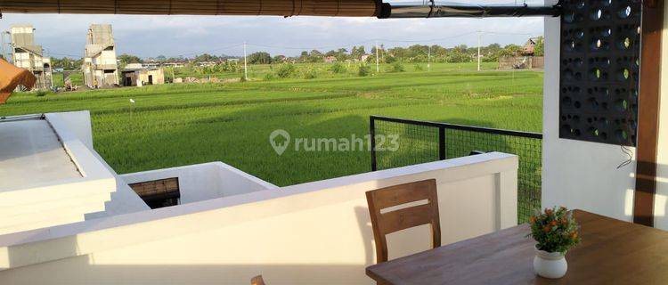 VILLA RICE FIELD VIEW DEKAT PANTAI KEDUNGU 1