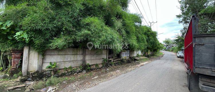 Dijual Tanah 1 Menit Dari Bypass Ib Mantra Di Jl Raya Selukat