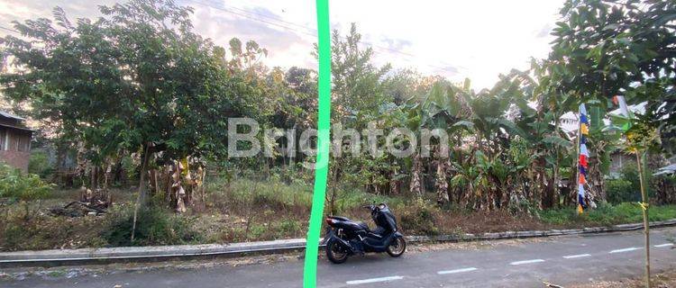 CEPAT TANAH KOSONG DESA KLEPU PRINGAPUS SEMARANG 1