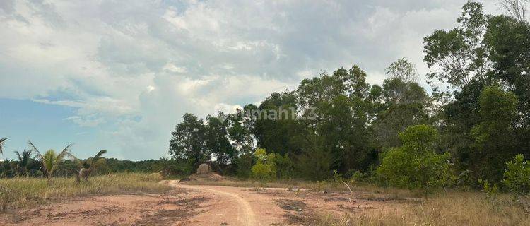 Di Jual Tanah Siap Bangun Seluas 26 Hectare Area Karimun  di Jalan mayjen sutoyo kelurahan pamak kecamatan tebing kab.karimun , Tebing SHM - Sertifikat Hak Milik 1