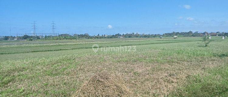 Tanah kavling strategis itr kuning di area negara kota 1