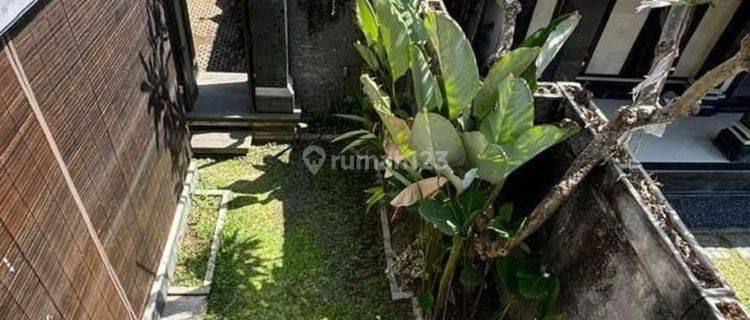 Rumah Tunggak Bingin Sanur Bali 1