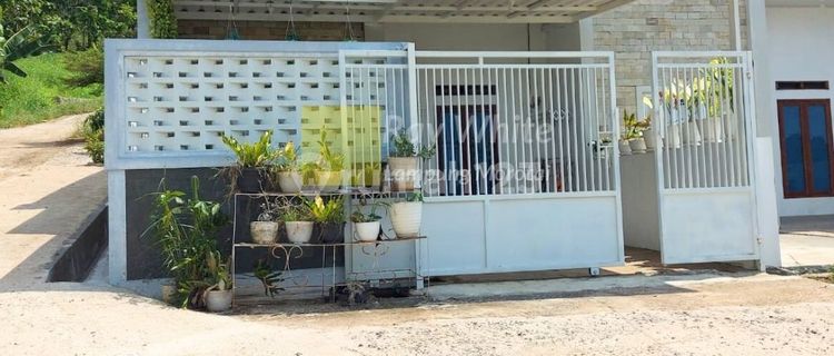 New Minimalist House Arrangement 1