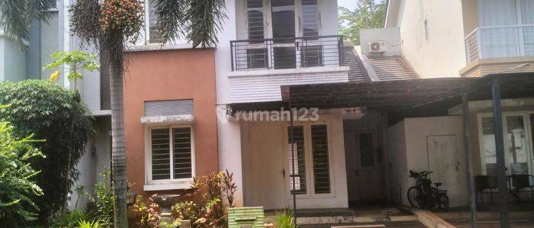 Rumah Sewa Di Blossom Ville The Green Bsd 1
