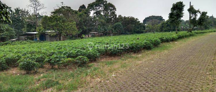 Lahan Kosong Murah di Parung 1