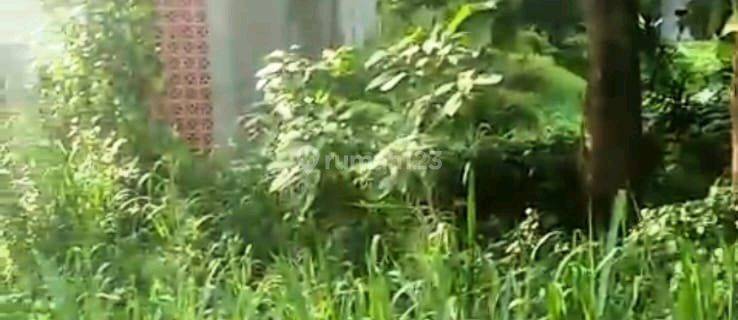 Lahan Termin Di Sawangan Bojong Sari Depok 1