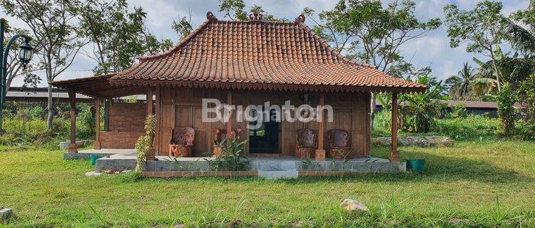 RUMAH JOGLO ESTETIK DI JALAN KALIURANG COCOK UNTUK RUMAH MAKAN ATAU RESTO 1