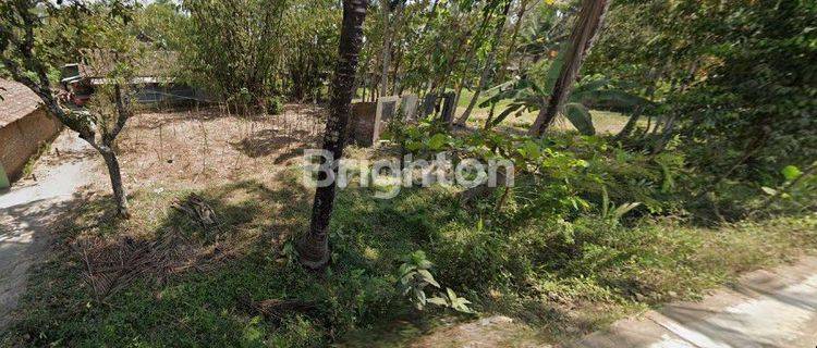 TANAH PEKARANGAN 521M2 DI SENTOLO LOR 1