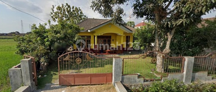 For Sale: House &amp; 12-Room Boarding House in Bangunharjo, Sewon, Bantul 1