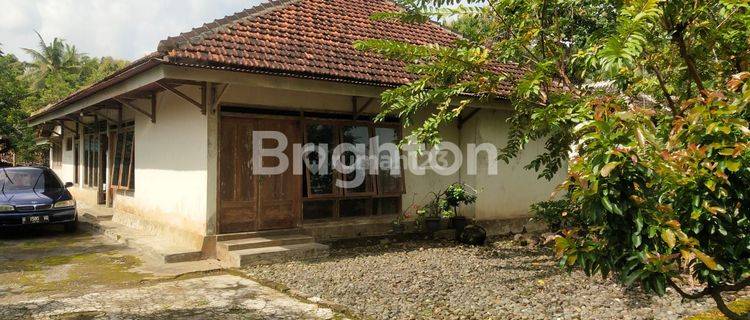 Rumah Luas & Strategis di Banjararum Kalibawang, Kulon Progo - Investasi Bernilai Tinggi 1