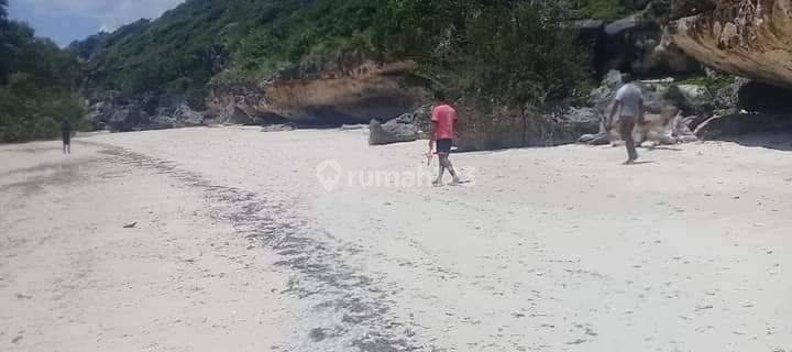 Dijual Tanah Los Pantai di Kawasan Wisata Sumba Timur Nusa Tenggara Timur 1