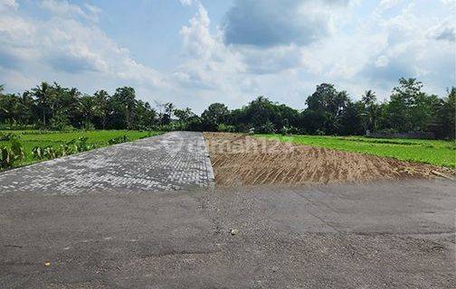 Tanah Jogja Dekat UII; SHM Pekarangan View Sawah Asri 1