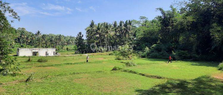 Jual Tanah Jogja Barat, Kawasan Nanggulan. DP Kompromi! 1
