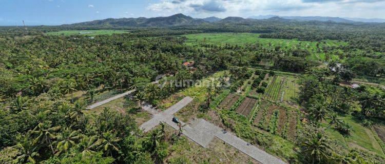 Cocok Investasi! Tanah Murah Jogja Dekat Kampus UAD  1