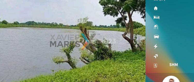 Dijual Tambak Ikan Di Bangil Pasuruan 1