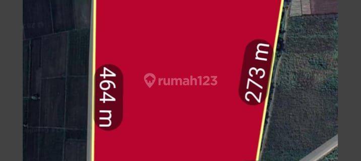 Tanah Industri Zona Industri Dekat Pintu Tol Untuk Pabrik/Gudang 1