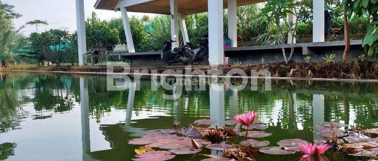 VILLA CANTIK DAN ASRI TURUN HARGA..MURAH  TEMPAT WISATA 20 MENIT DARI PINTU TOL SEROJA BANDUNG 1