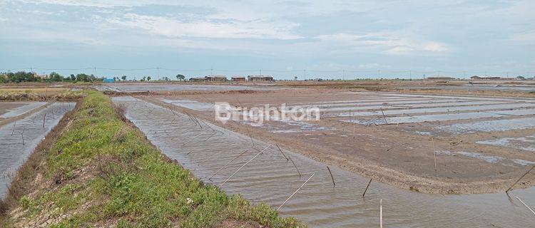 TURUN HARGA!!!Jual Tanah Empang Krangkeng Indramayu Jawa Barat 1