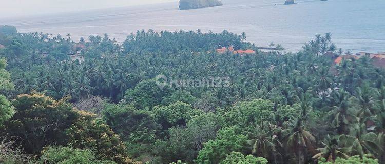 Dijual Tanah Di Candidasa View Ocean  1