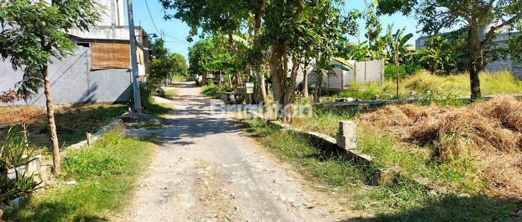 TANAH SIAP BANGUN DI DAERAH GEMPOLKURUNG MENGANTI GRESIK 1