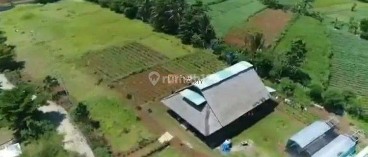 Investasi Berjangka, Dijual Tanah Bogor Ciampea Luas 6 Hectar 1