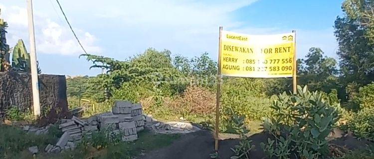 Tanah Disewakan.jangka.panjang Pura Batu Pageh Ungasan Dekat Pandawa  1