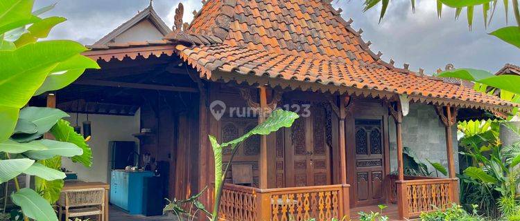 Villa Furnished Strategis Siap Pakai Dekat Pasar Ubud 1