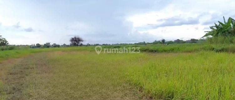 Tanah Luas Strategis Separuh Harga Pasaran Daerah Cerme Gresik 1