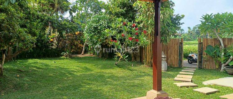 Villa Big Garden Ubud Bali Rice Field & Jungle View Shm 1